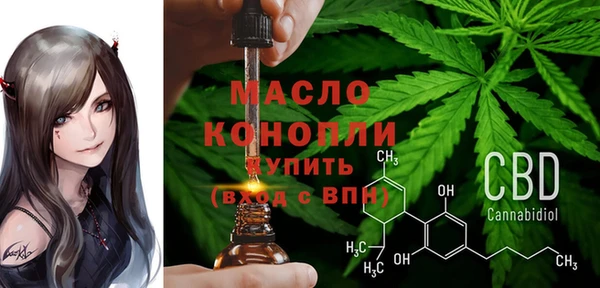 дмт Зеленодольск