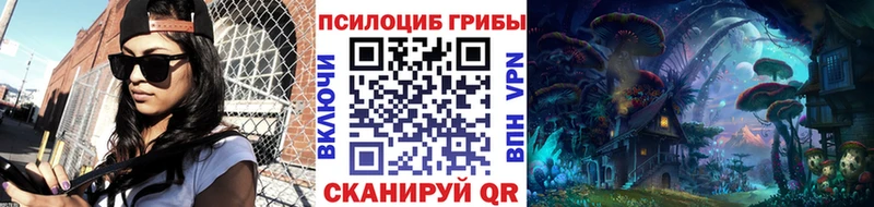 Купить  Яровое  Псилоцибиновые грибы GOLDEN TEACHER 